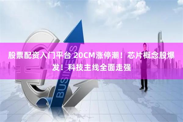 股票配资入门平台 20CM涨停潮！芯片概念股爆发！科技主线全面走强