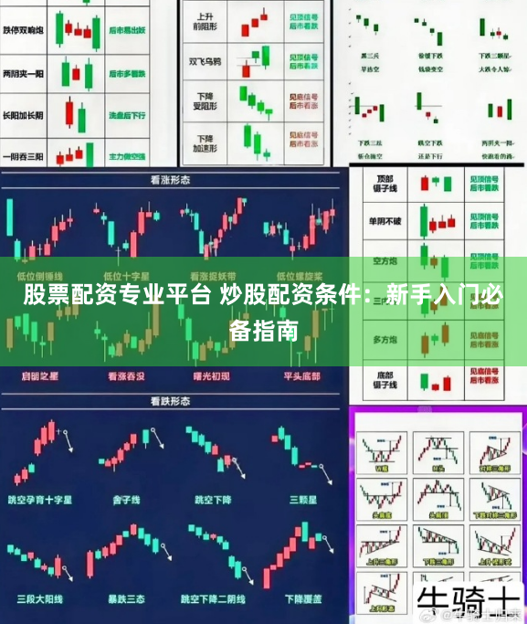 股票配资专业平台 炒股配资条件：新手入门必备指南