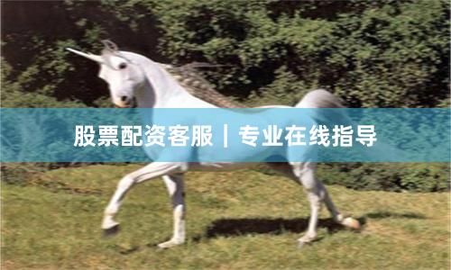 股票配资客服｜专业在线指导